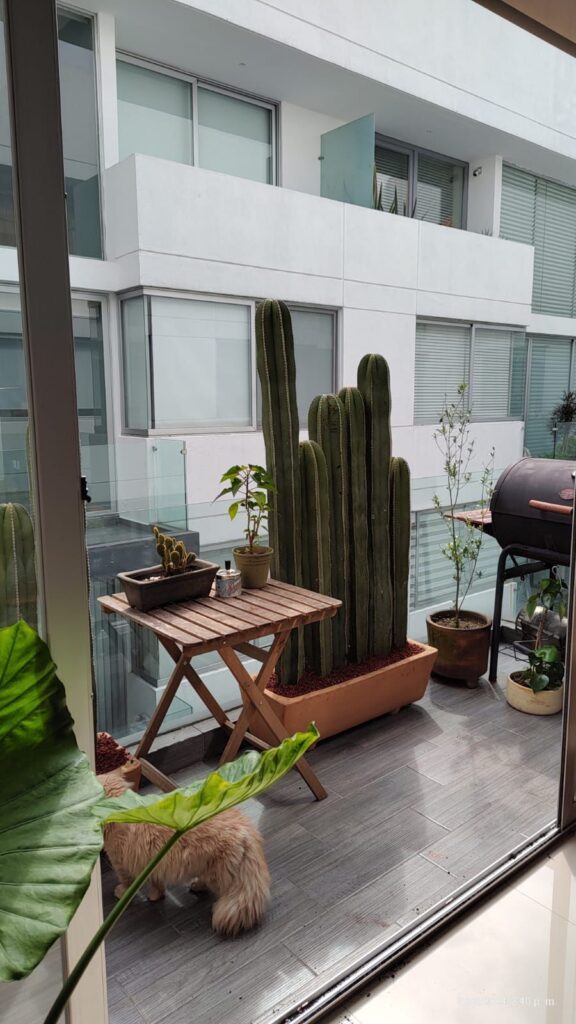 La imagen tiene un atributo ALT vacío; su nombre de archivo es WhatsApp-Image-2025-11-27-at-23.38.18-3-576x1024.jpeg